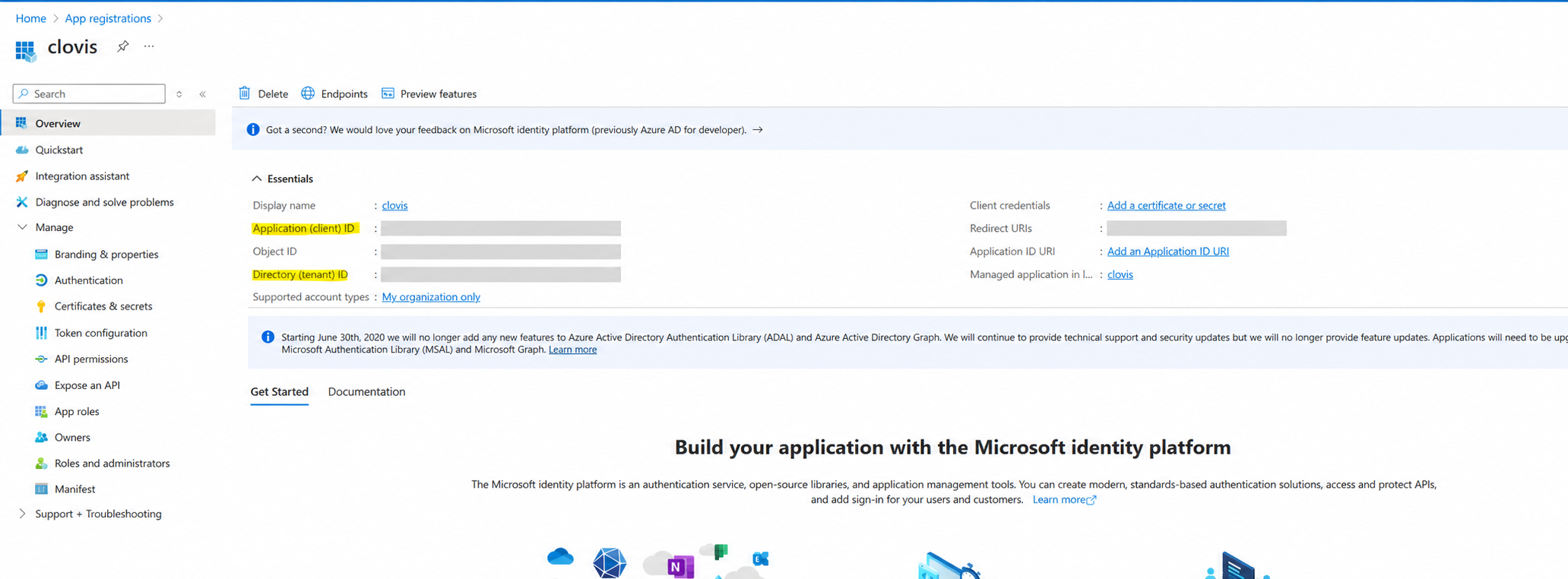 Location of the client and tenant identifiers in the Microsoft Entra ID overview