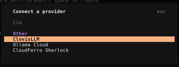 opencode provider